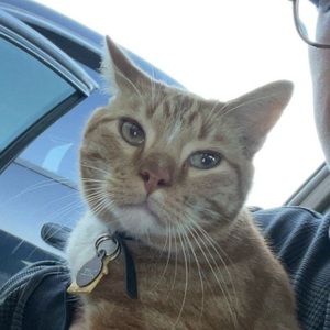 Meet your Posher, Matthew